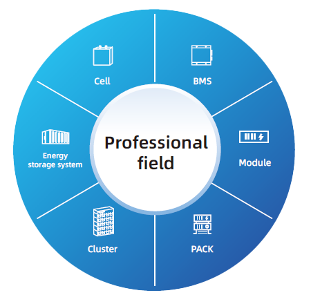professional field